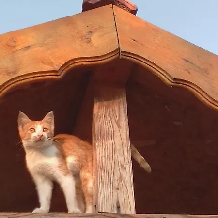 граничар 3 сърфа 3* Granichar