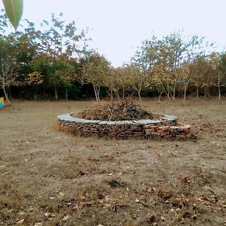 граничар 3 сърфа