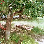 граничар 3 сърфа Gæstehus Granichar