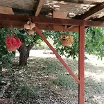 граничар 3 сърфа Gæstehus 3*