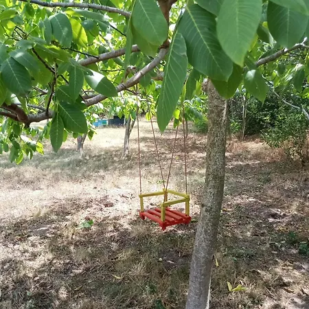 граничар 3 сърфа Guest house Granichar