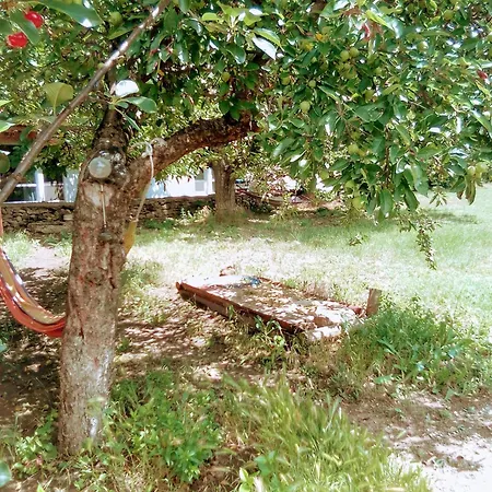 граничар 3 сърфа Guest house Granichar