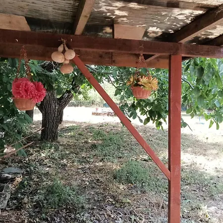 граничар 3 сърфа Гостевой дом 3*