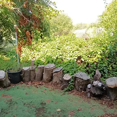 граничар 3 сърфа