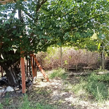 граничар 3 сърфа 3* Granichar